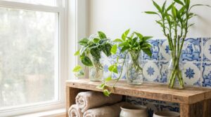 Deze 3 kamerplanten groeien in water en maken je badkamer fris, zonder aarde of schimmel