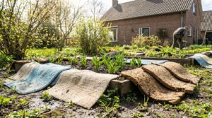 Deze badkamerafval beschermt je jonge planten tegen kou en slakken: zo gebruiken tuinders het in het voorjaar
