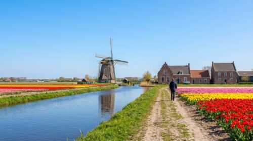 Microsoft gaat eindelijk de frustrerende traagheid van Windows 11 te lijf